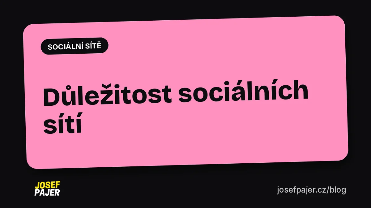 Důležitost sociálních sítí