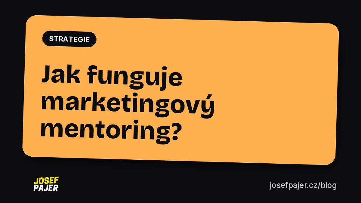 Jak funguje marketingový mentoring?